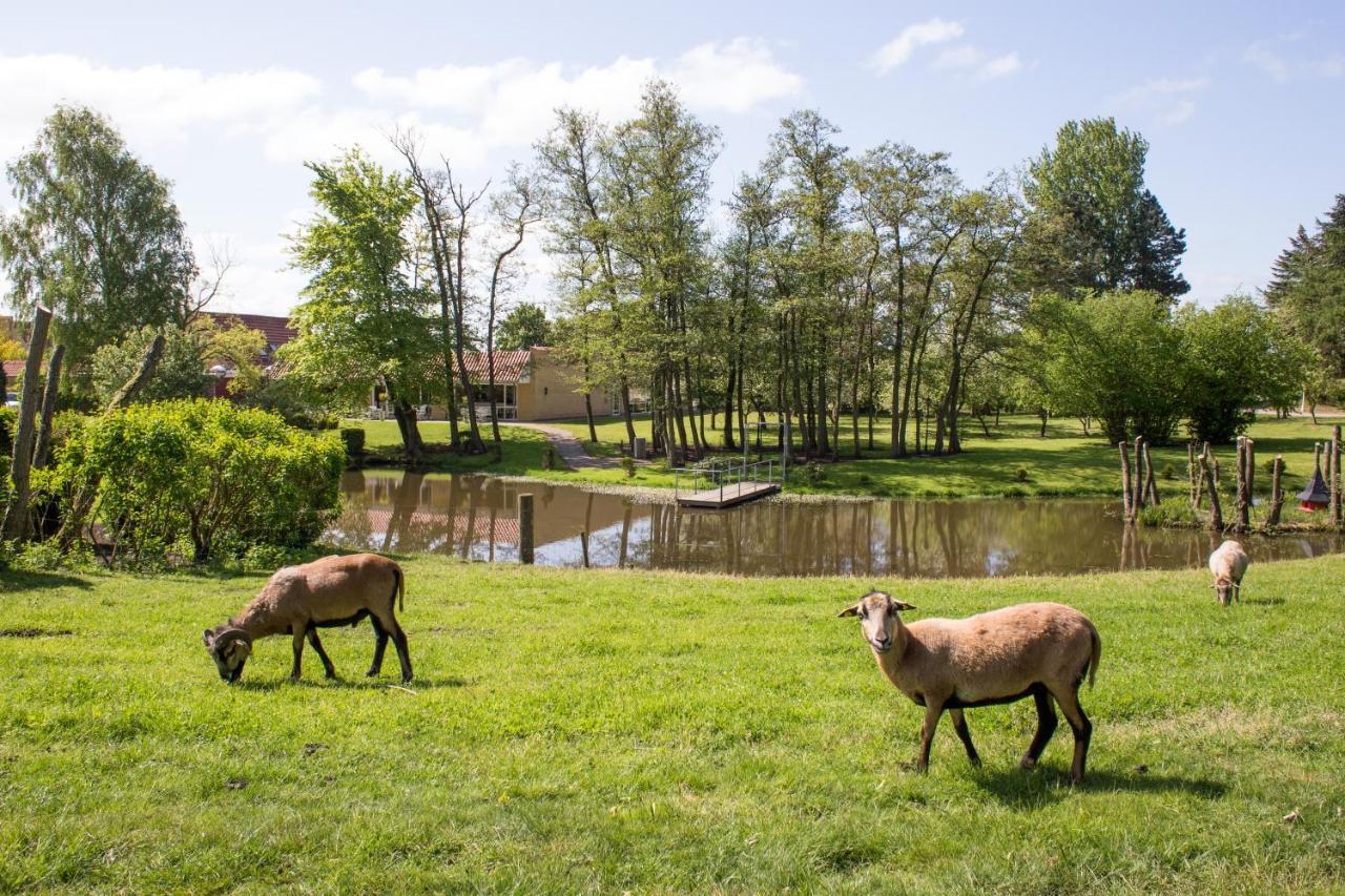 Fjelsted Skov Hotel & Konference Ejby  Екстер'єр фото